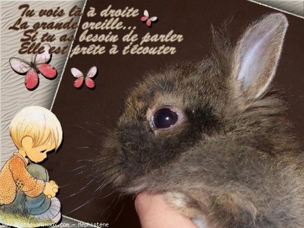 que veut dire amitié que veut dire amitié