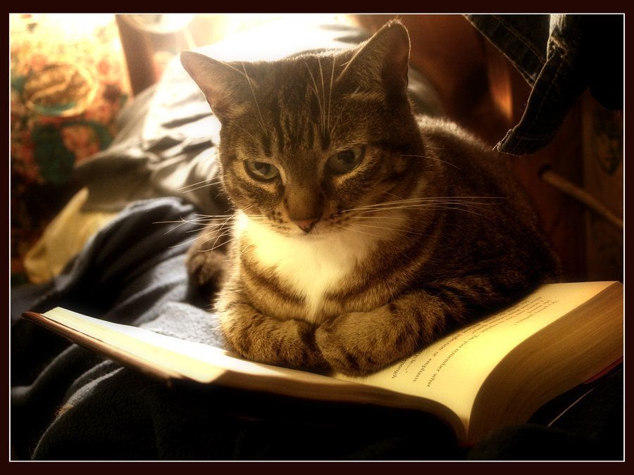 poemes auteur victor hugo